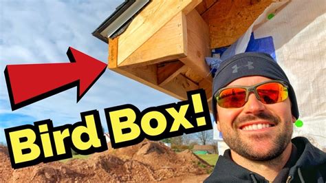 metal bird form box|bird box for soffit house.